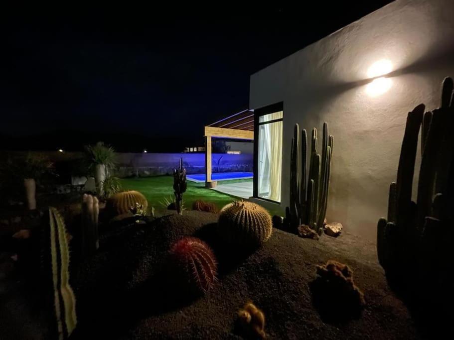 Bungalow + Piscina Independiente 라 올리바 외부 사진